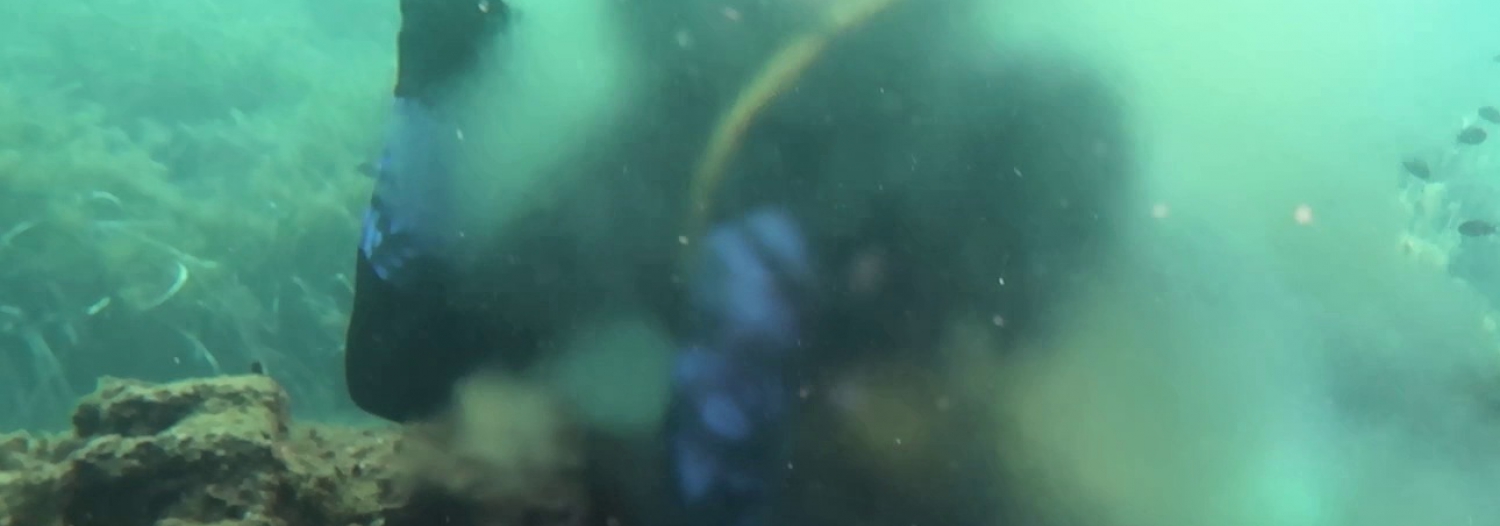 STATION D'EPURATION DE LA LONDE LES MAURES (83) QUELS REJETS ?