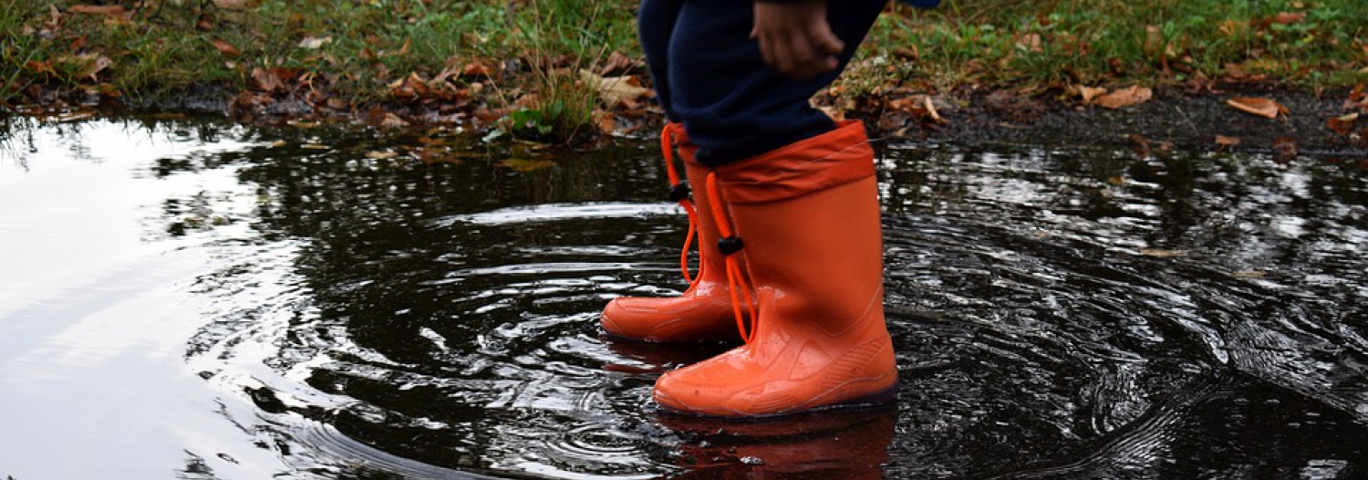 V.I.E. DE L'EAU et les Médias - Archives 2012